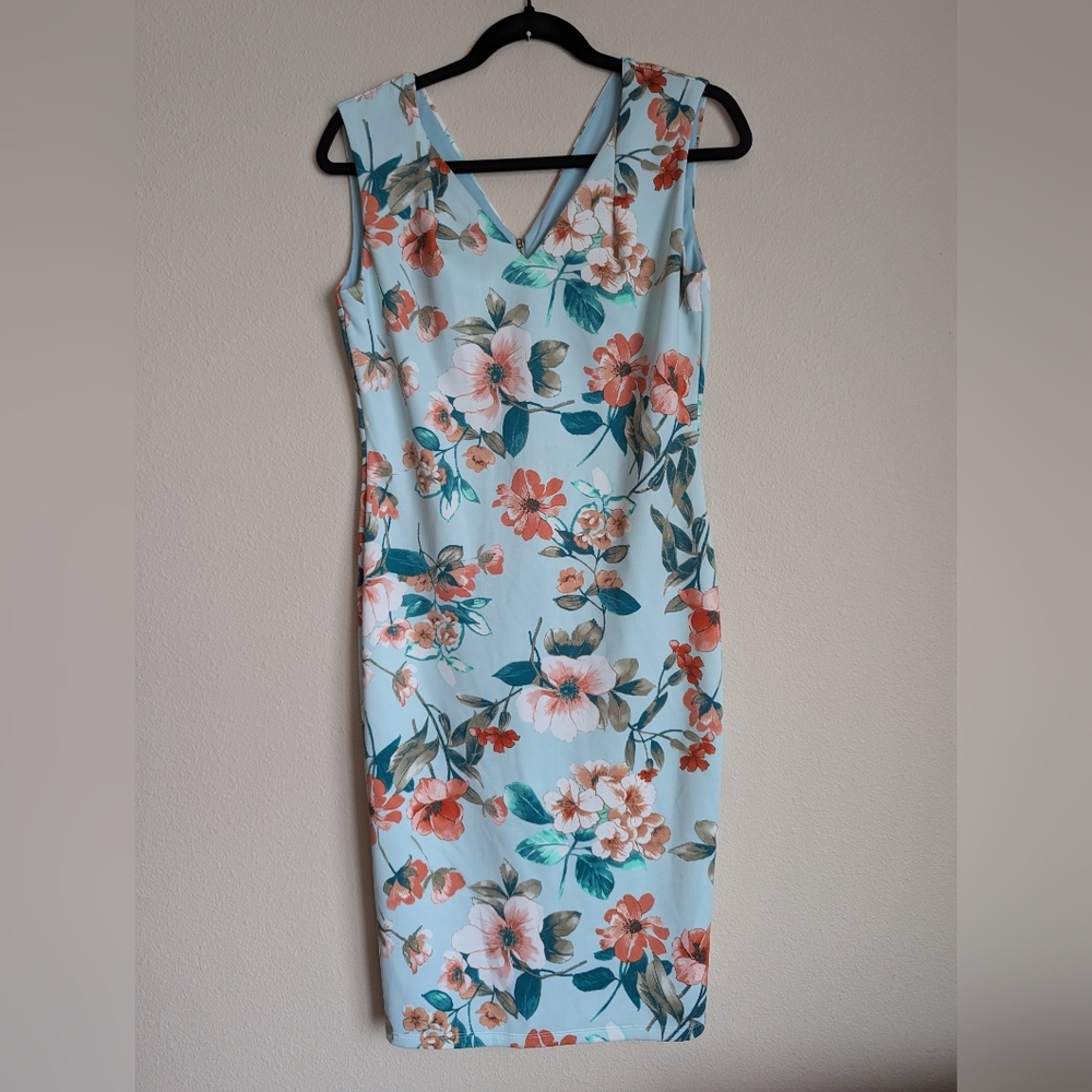 Enfocus Studio Floral Dress Size 6